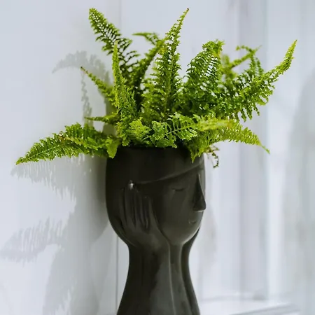 Palomahouse Apartament