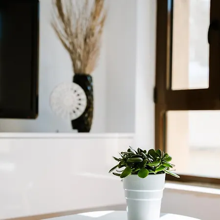 Apartament Palomahouse