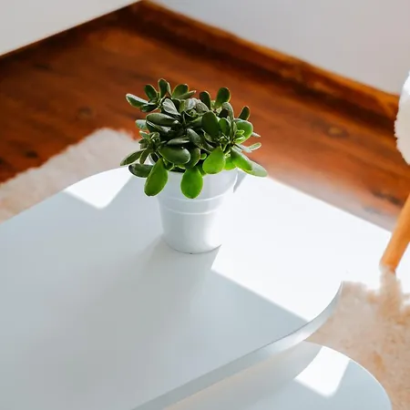 Palomahouse * Rethymnon