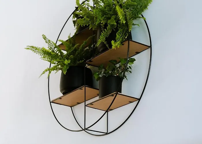 Apartamento Palomahouse Rétino