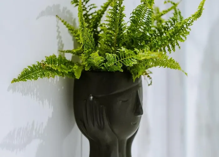 Palomahouse Apartamento