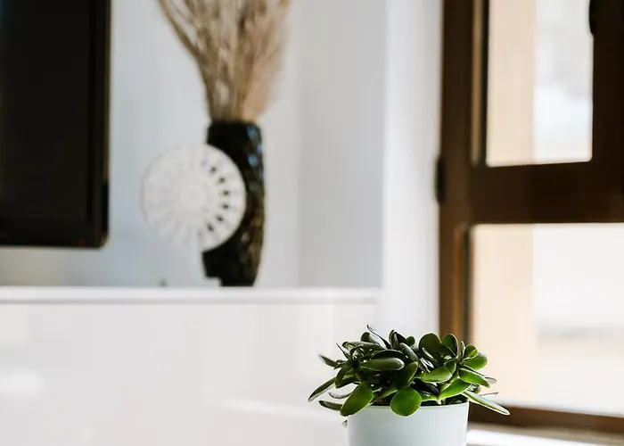 Apartamento Palomahouse